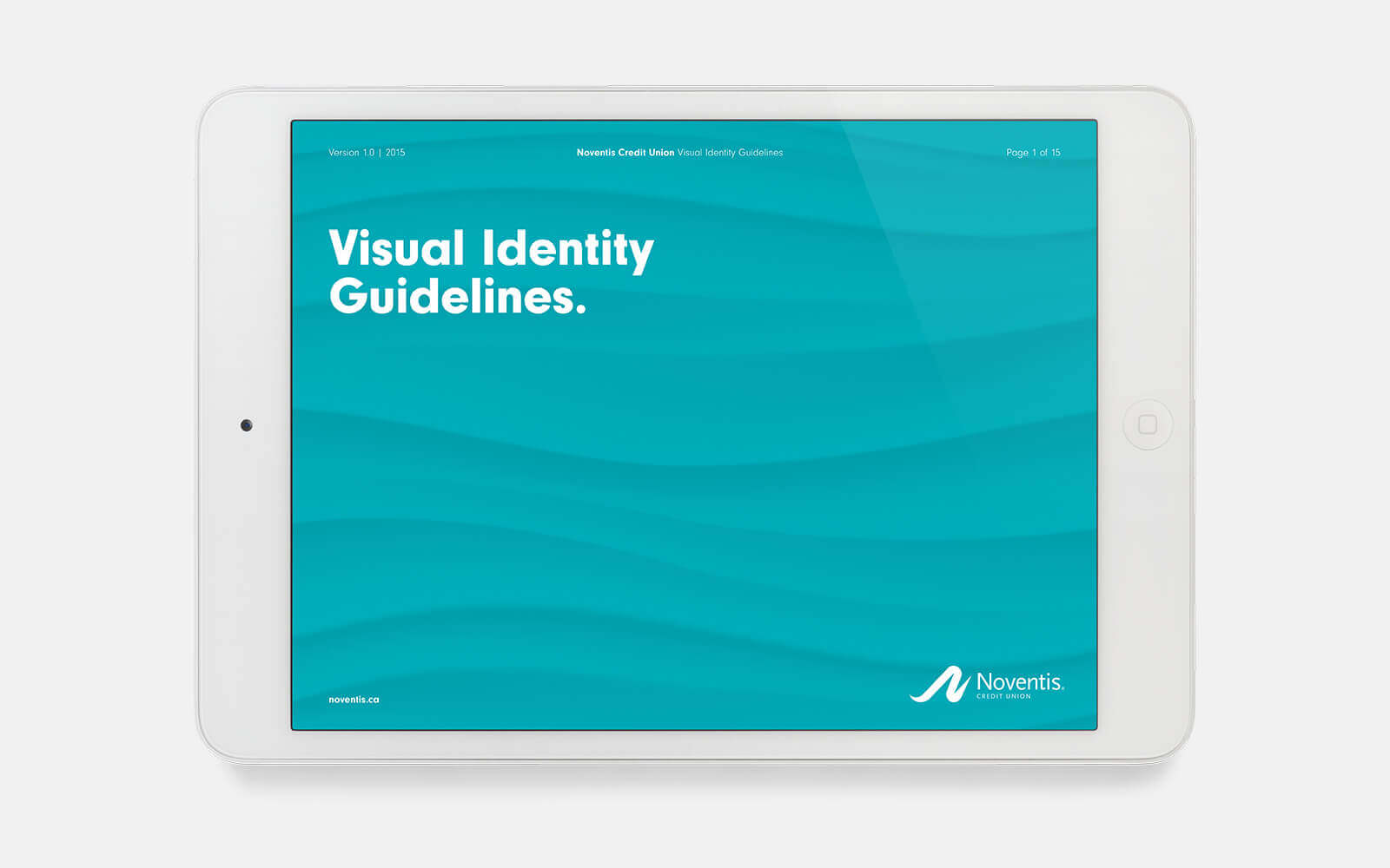 Noventis Visual Identity Guide