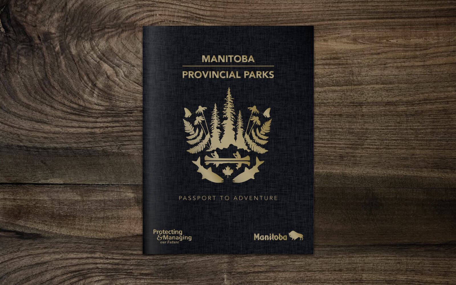 Park Passport Cover